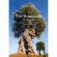 Immagine di Monumental Olives of Apulia. A journey through ancient olive groves in Apulia.